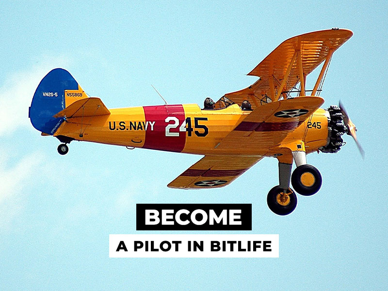 How to Become a Pilot in Bitlife